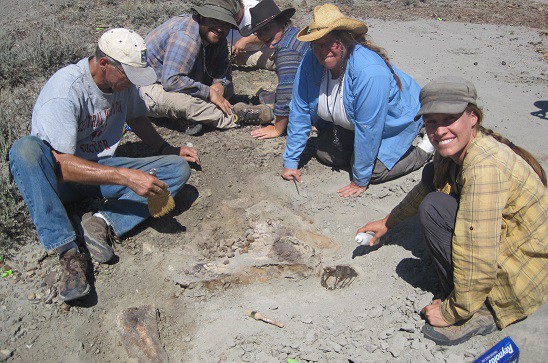 DIG Field School