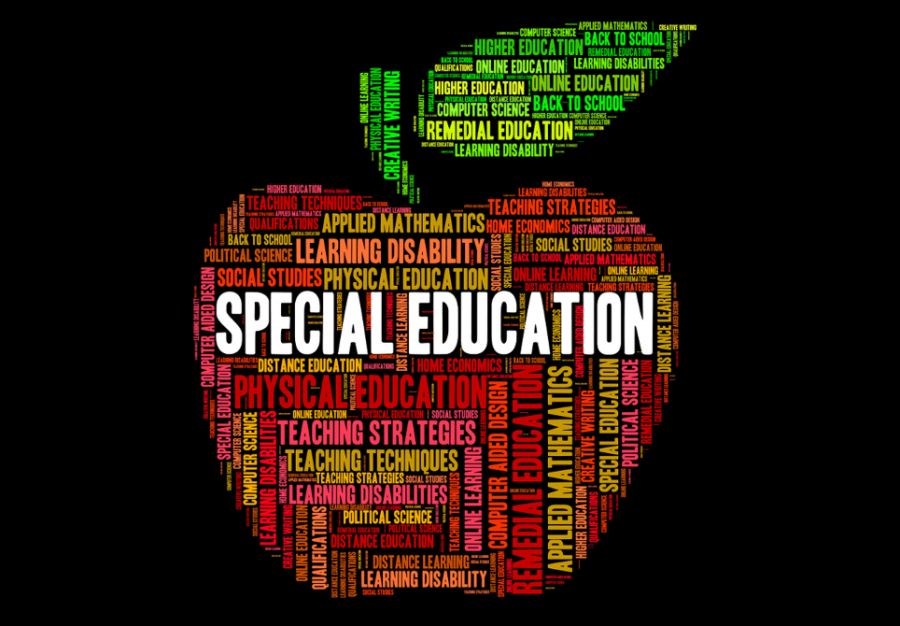 Bridging The Knowledge Gap Of Special Education Studies bridging-the-knowledge-gap-of-special-education-studies