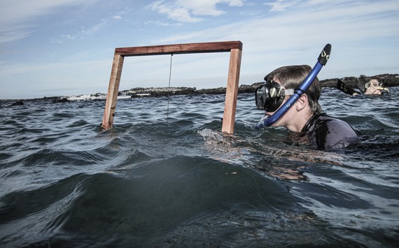 Student wearing snorkel gear and swimming in choppy waters next to floating wooden frame