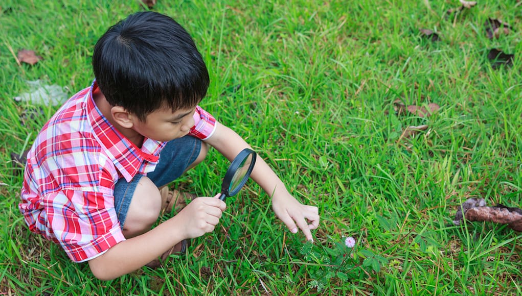 Student examining small flower with magnifying glass