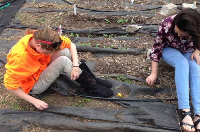 We Can Do Lots More For Students With >> Every School Needs A Garden Getting Smart We Can Do Lots More For Students With >> Every School Needs A Garden Getting Smart
