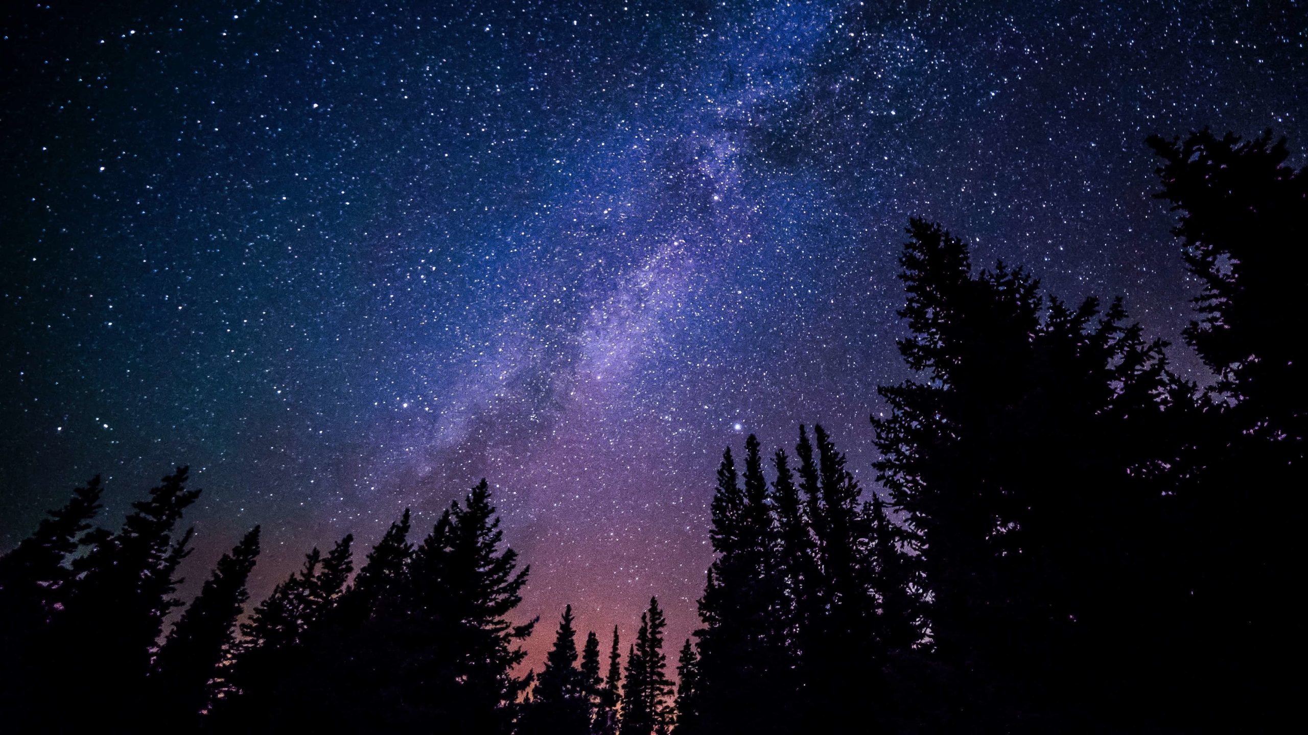 Night sky constellations