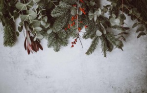 holiday foliage