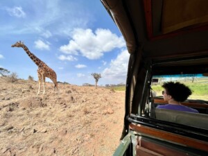 Lewa Wildlife Reserve