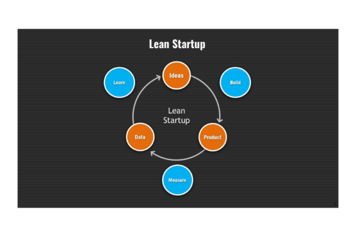 Lean Startup