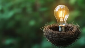 Electric light bulb placed in a bird's nest, glowing warmly in a serene ambient forest, symbolizing the nurturing of ideas and inspiration