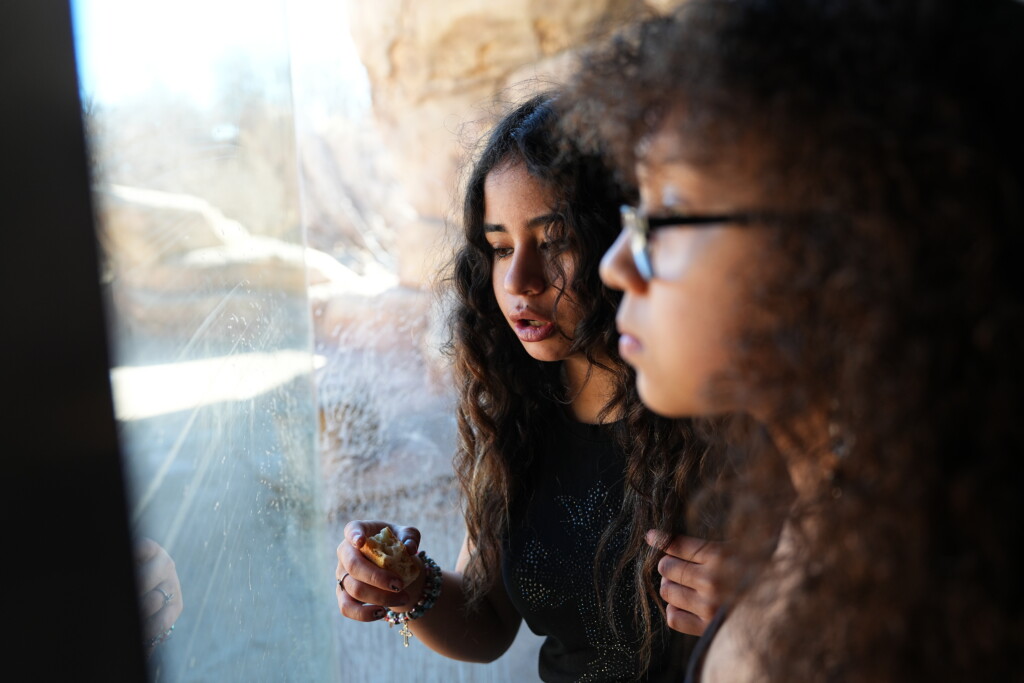 Two curious students press close to a glass enclosure, peering intently at an exhibit inside an ecosystem lab.